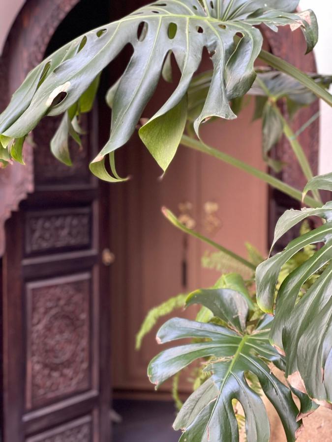 Riad Chocolat Marrakesh Exterior photo